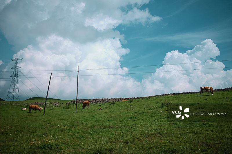 宫崎骏笔下的张北草原图片素材