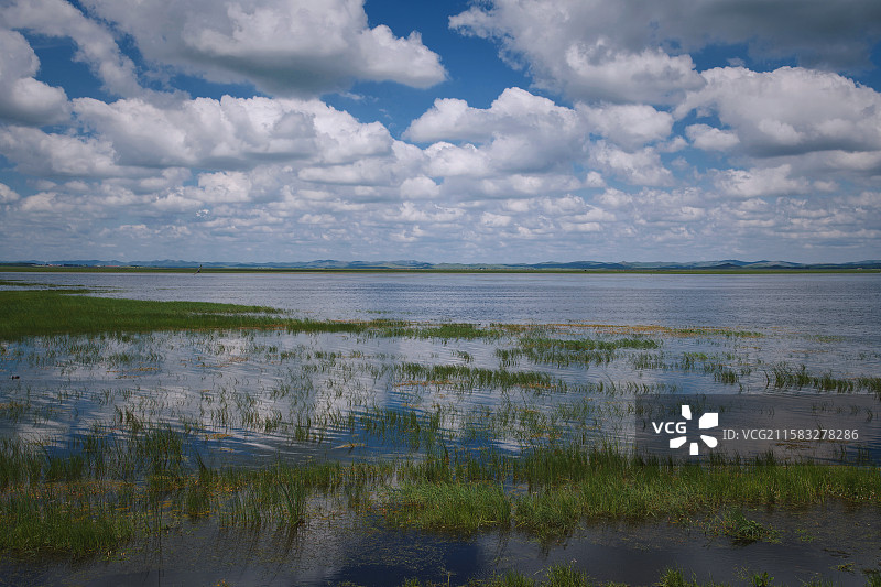 浑善达克沙地 - 拍摄于内蒙古锡林郭勒盟正蓝旗双山水库图片素材