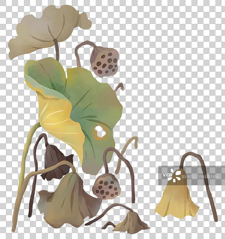 立冬插画元素荷塘里的荷叶和莲蓬图片素材