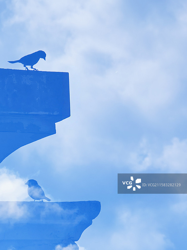 小鸟登高图片素材