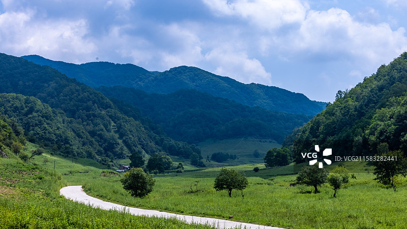 宝鸡大水川夏天美景图片素材