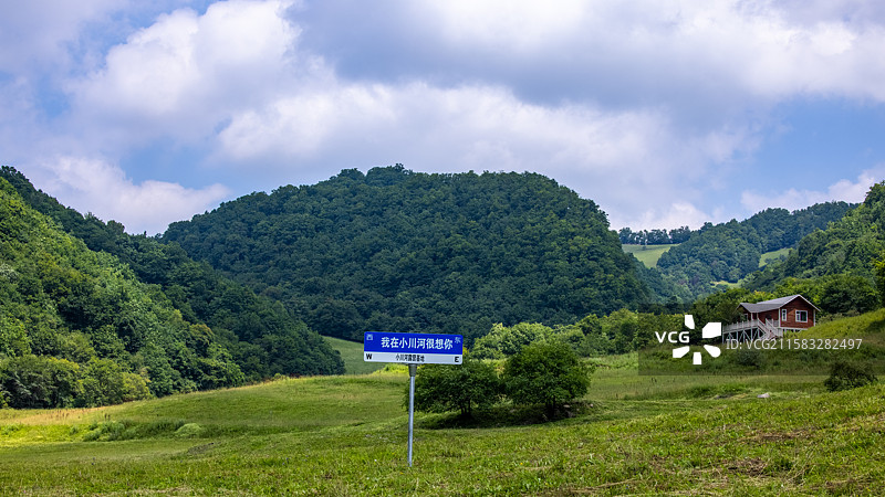 宝鸡大水川夏天美景图片素材