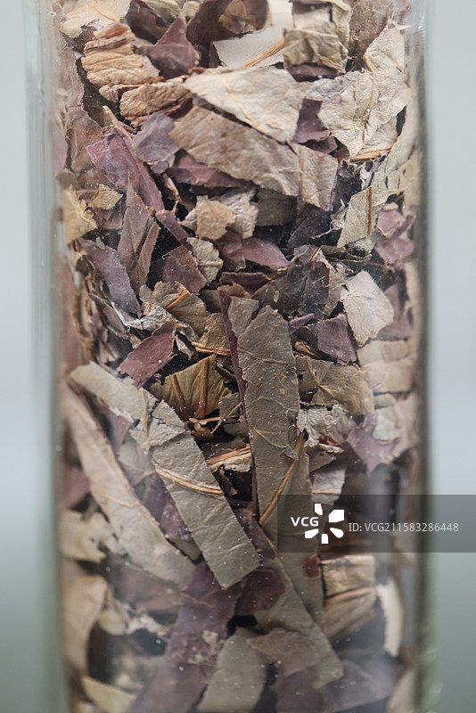 荷叶1000种中药北京中医药大学博物馆中国传统中草药中药加工中药材图片素材