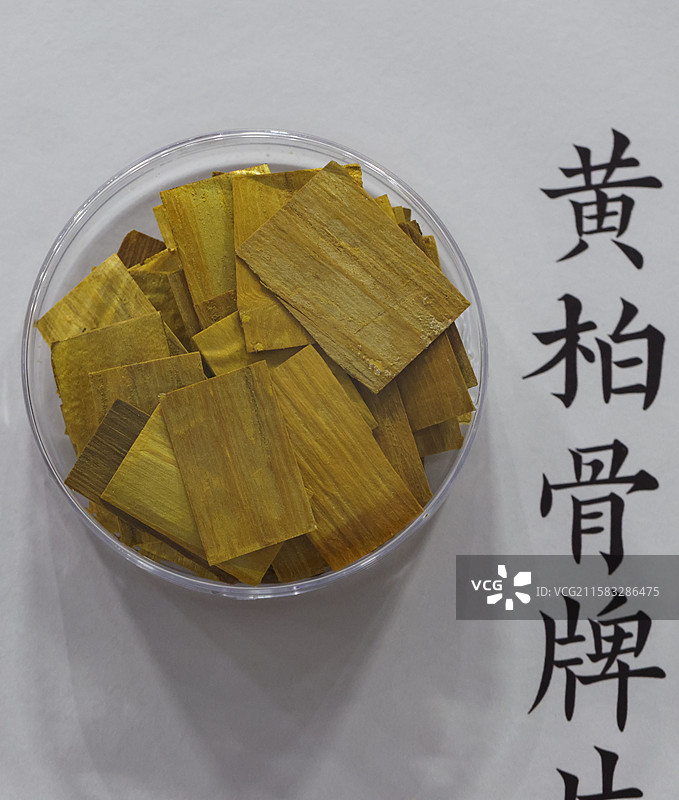 黄柏骨牌片1000种中药北京中医药大学博物馆中国传统中草药中药加工中药材图片素材