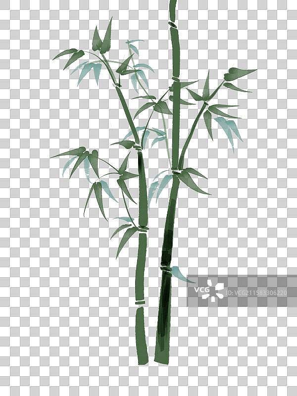 古风水墨绿色的竹子图片素材