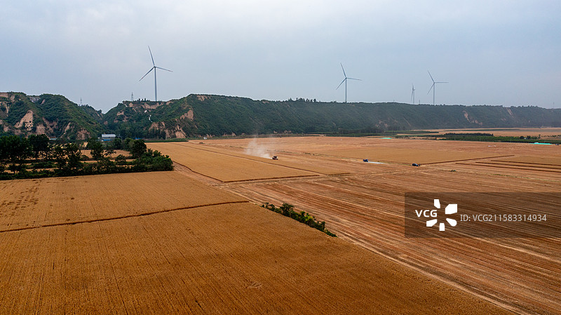 河南郑州黄河滩区麦田丰收、夏季田园风光、小麦收割风景图片素材