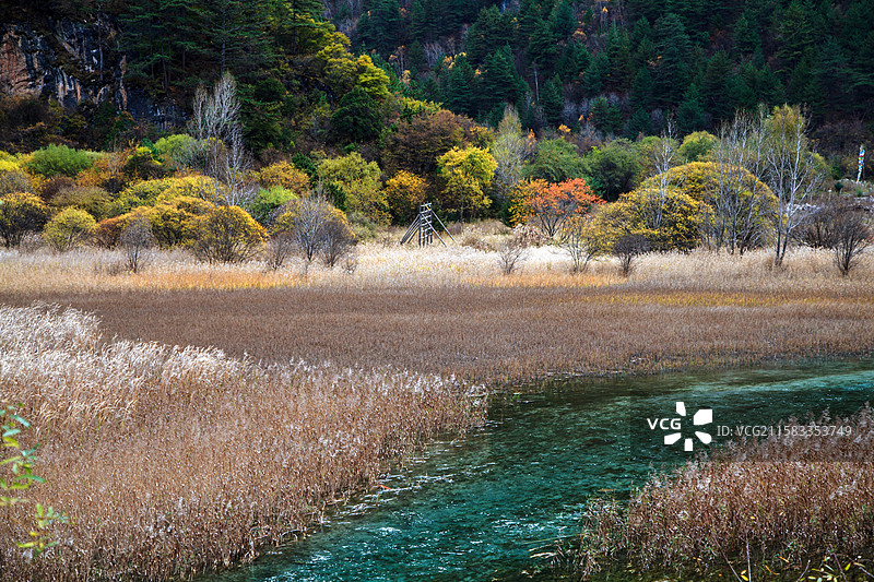 九寨沟盆景滩景色图片素材