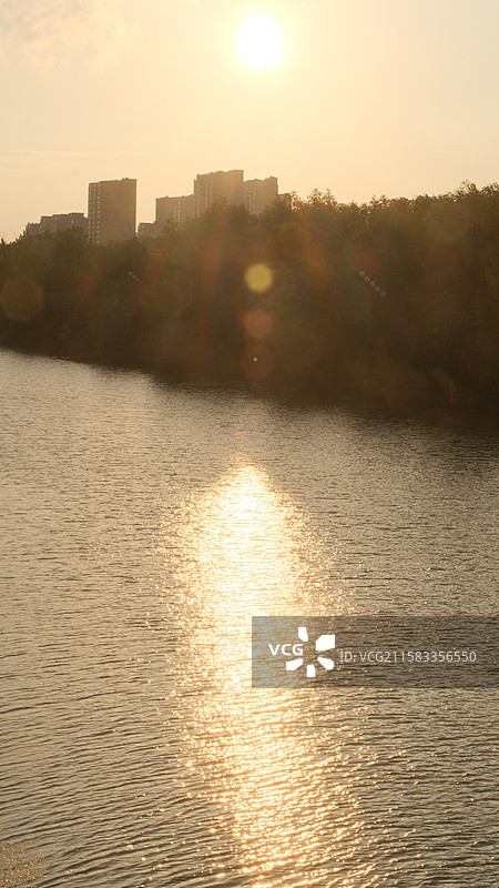 江苏文旅水乡金湖柳树湾湿地公园湖面浮光跃金素材图片素材