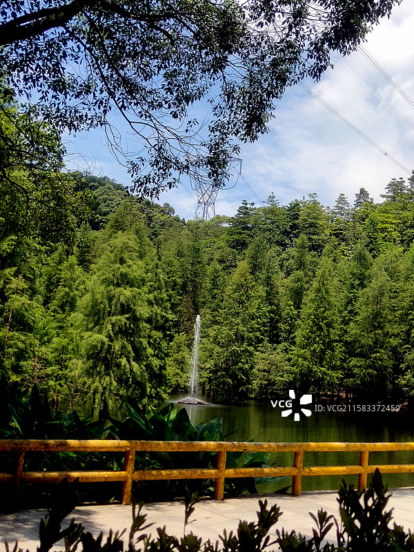 天湖、喷泉、落羽杉树林、国家AAAA级旅游景区、广州帽峰山森林公园、风光、风景、景观、自然生态图片素材