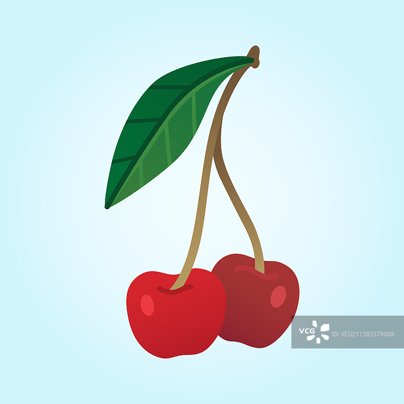 两个樱桃莓图片素材