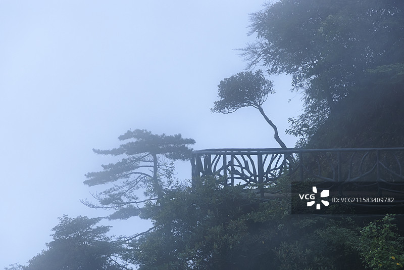 江西上饶大暑时节雨中三清山怪石林立云雾缭绕仙境图片素材