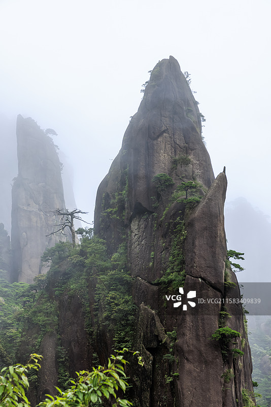 江西上饶大暑时节雨中三清山怪石林立云雾缭绕仙境图片素材