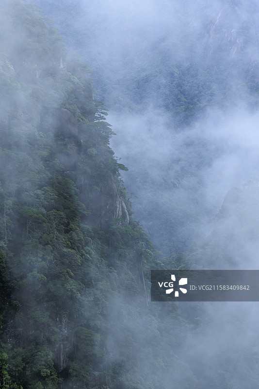 江西上饶大暑时节雨中三清山怪石林立云雾缭绕仙境图片素材