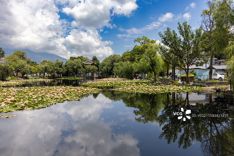 中国云南大理喜洲古镇传统建筑荷塘湖泊风光图片素材