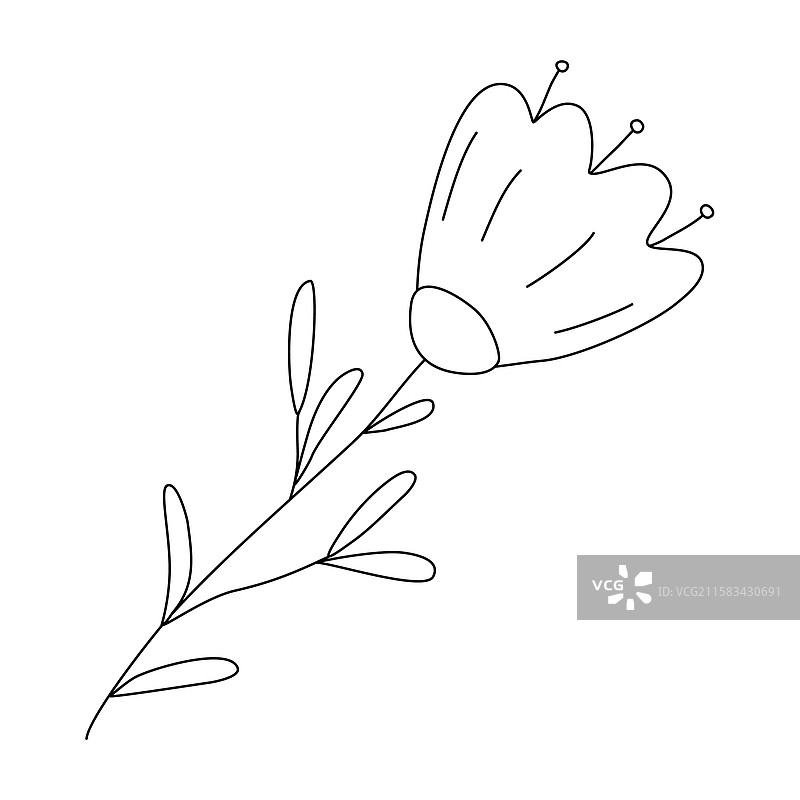 简单风格的盛开野花，带有叶子图片素材