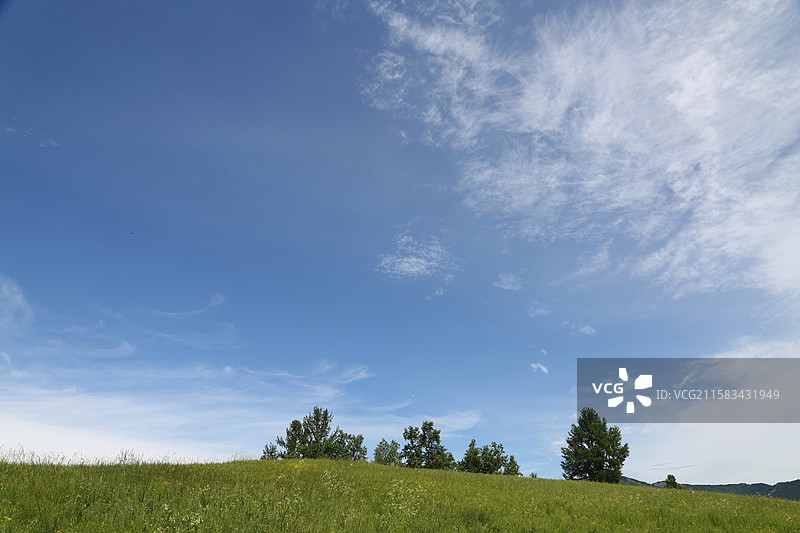 蓝天白云下的大草原 内蒙古 呼伦贝尔 扎兰屯市 柴河镇 十大湾景区图片素材