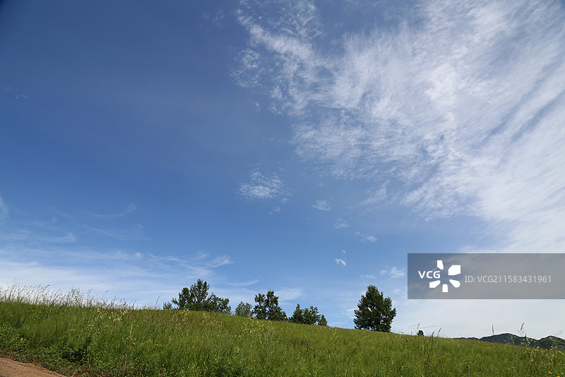 蓝天白云下的大草原 内蒙古 呼伦贝尔 扎兰屯市 柴河镇 十大湾景区图片素材