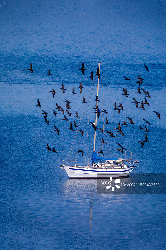 纳米比亚鲸湾梦境图片素材