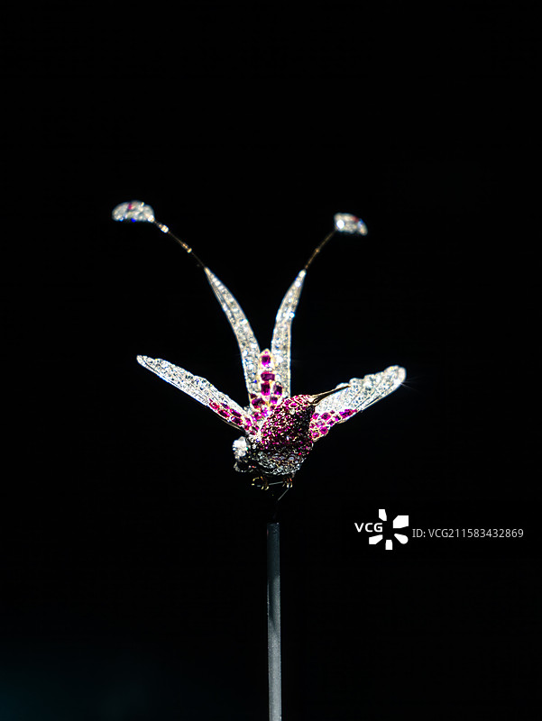 十九世纪胸针蜂鸟鹭羽图片素材