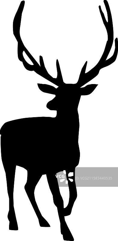 老麋鹿图片素材