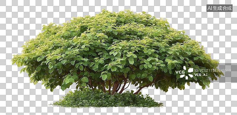 【AI数字艺术】[免抠PNG素材]茂密绿叶灌木的自然景观图片素材