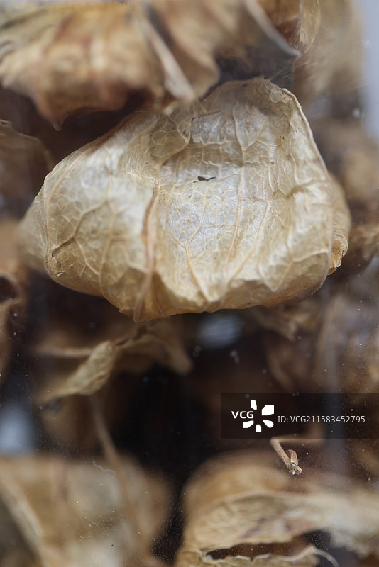 锦灯笼1000种中药北京中医药大学博物馆中国传统中草药中药加工中药材图片素材