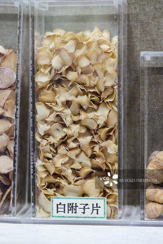 白附子片制白附子制牛奶白附1000种中药北京中医药大学博物馆中国传统中草药中药加工中药材图片素材