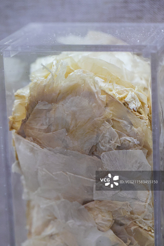 木蝴蝶 1000种中药北京中医药大学博物馆中国传统中草药中药加工中药材图片素材