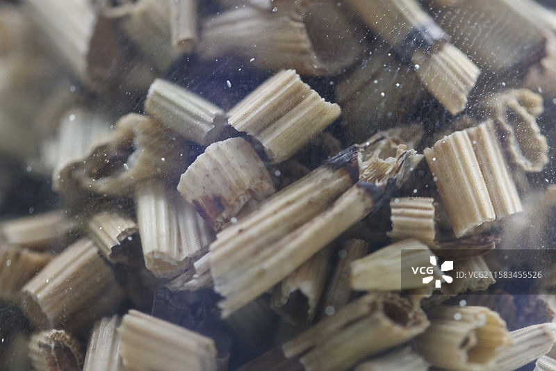 木贼1000种中药北京中医药大学博物馆中国传统中草药中药加工中药材图片素材