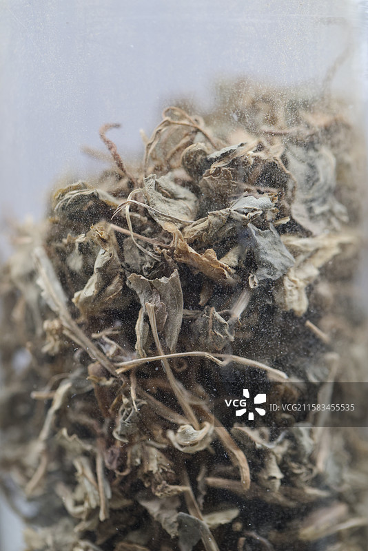 小蓟1000种中药北京中医药大学博物馆中国传统中草药中药加工中药材图片素材