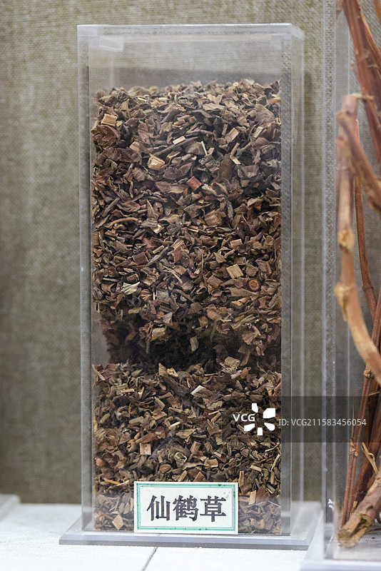 仙鹤草1000种中药北京中医药大学博物馆中国传统中草药中药加工中药材图片素材