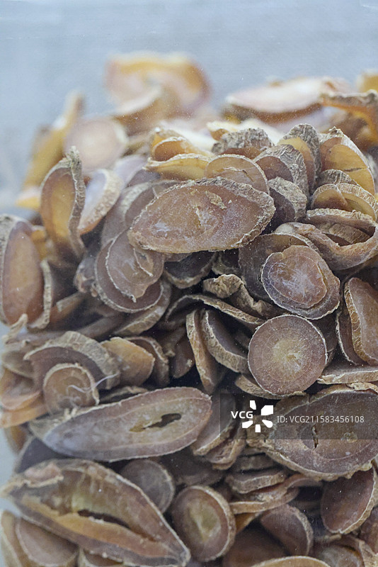 郁金片和伞形郁金片1000种中药北京中医药大学博物馆中国传统中草药中药加工中药材图片素材