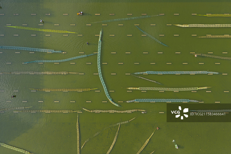 河南省 周口市 闫岗拦河闸 下游 地笼 捕鱼图片素材