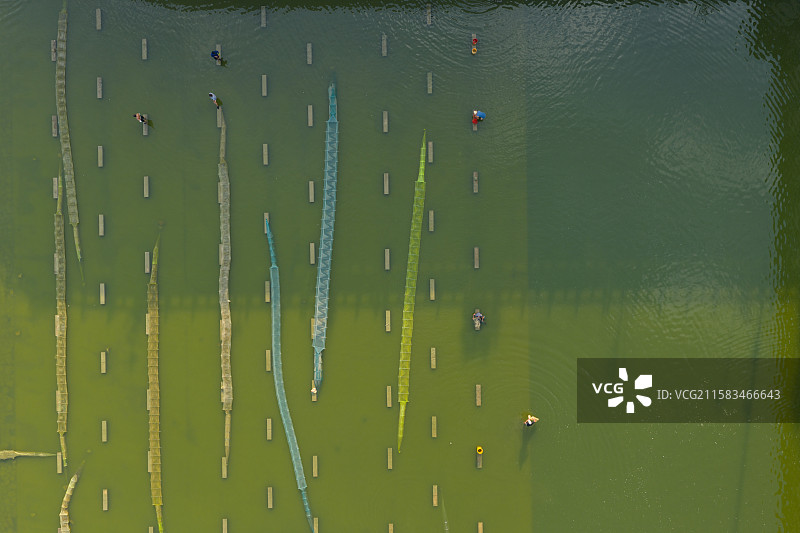 河南省 周口市 闫岗拦河闸 下游 地笼 捕鱼图片素材