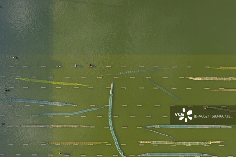河南省 周口市 闫岗拦河闸 下游 地笼 捕鱼图片素材