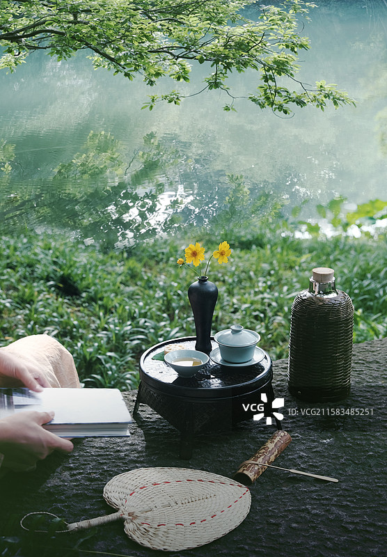 茶与自然图片素材