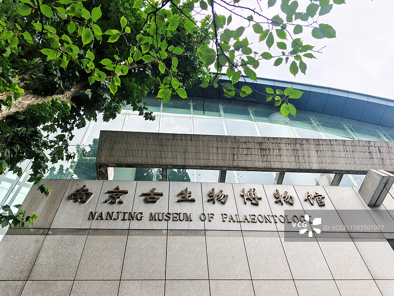 南京古生物博物馆外墙立体字图片素材