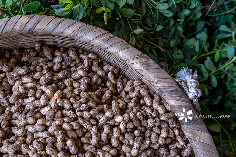 四川省绵阳市货摊上售卖的中药材，香料，配料，花生，中草药图片素材