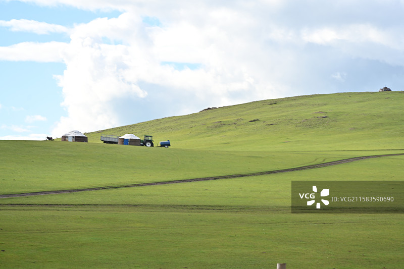 呼伦贝尔大草原羊群壮观美丽图片素材