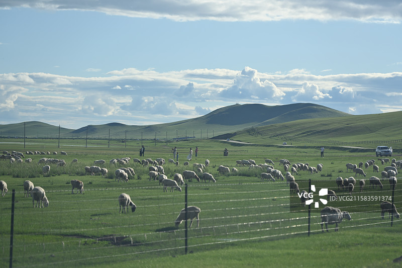 内蒙古呼伦贝尔大草原图片素材