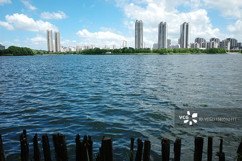 夏季汾湖图片素材