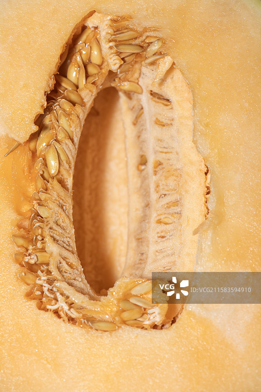 蜜瓜果肉内部图片素材