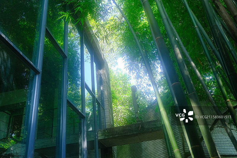 鹿野苑石刻艺术博物馆图片素材