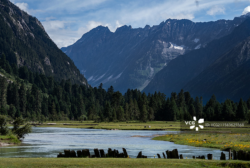 新措高原湖泊与雪山森林图片素材