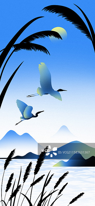 两只白鹭在夜空起飞图片素材