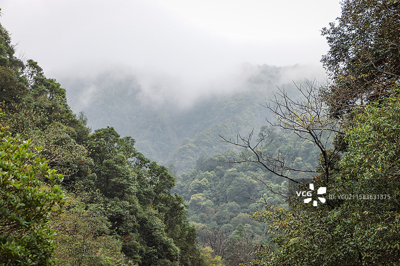 广西贺州姑婆山自然秘境图片素材