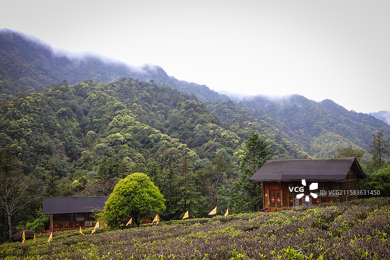 广西贺州姑婆山自然秘境图片素材