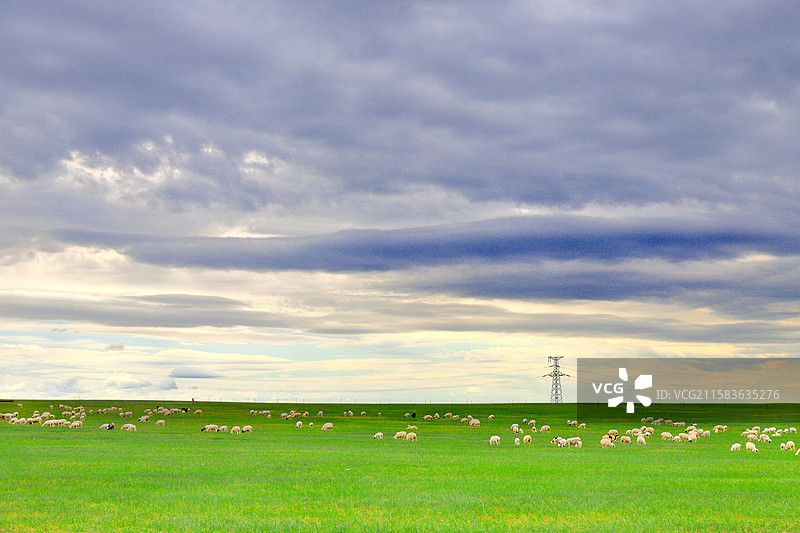乌珠穆沁草原图片素材