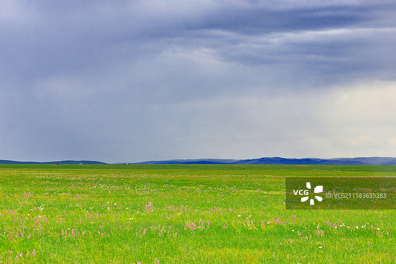 乌珠穆沁草原图片素材