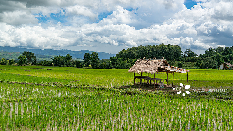 绿野幽居图片素材
